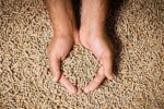Houtpellets in bulk, per ton - Afbeelding 3
